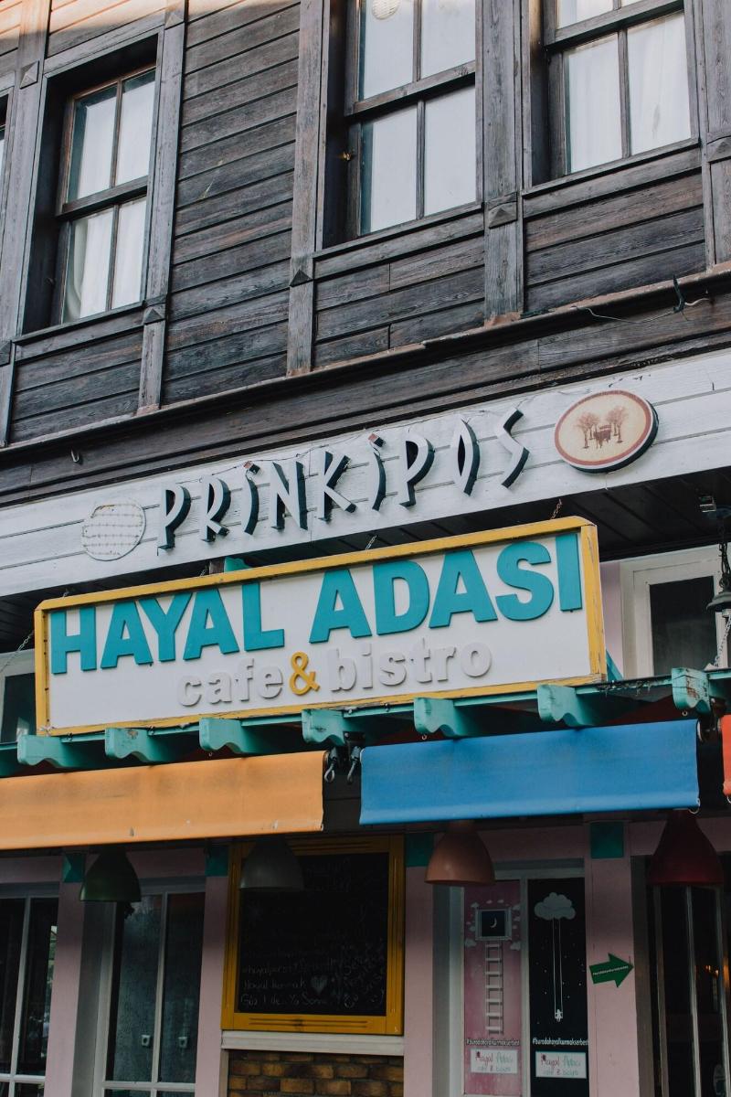 Hotel Prinkipos image