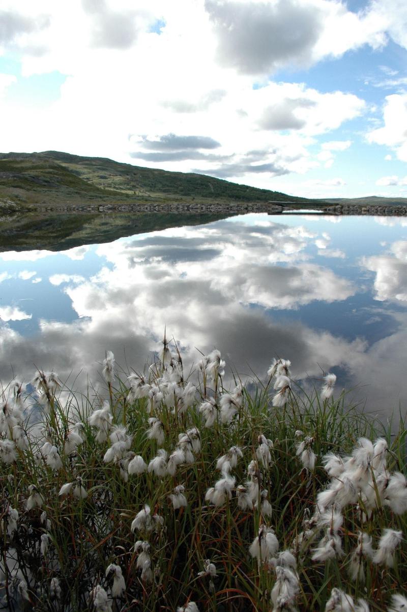 Rødungstøl Høyfjellshotell