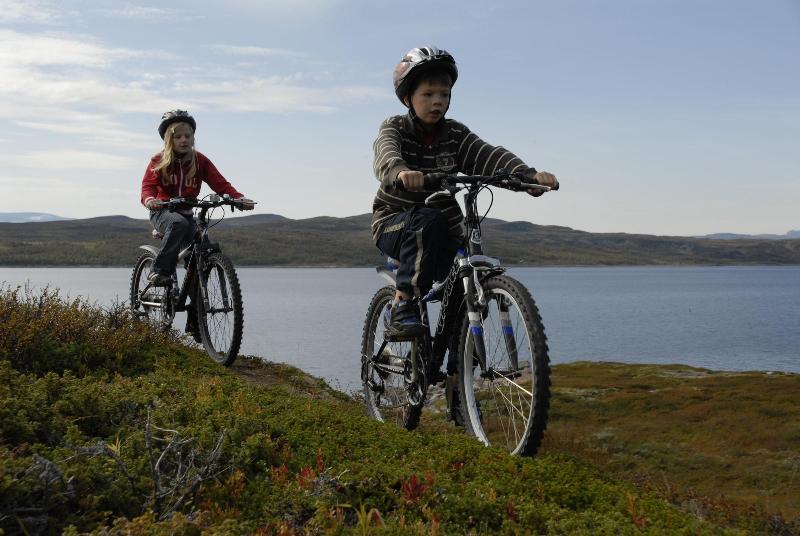 Rødungstøl Høyfjellshotell