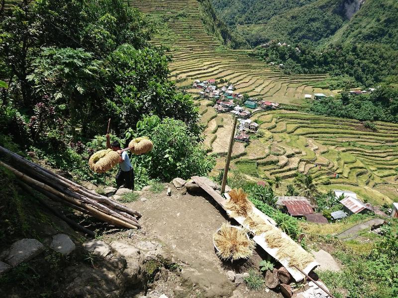 Batad Transient House image