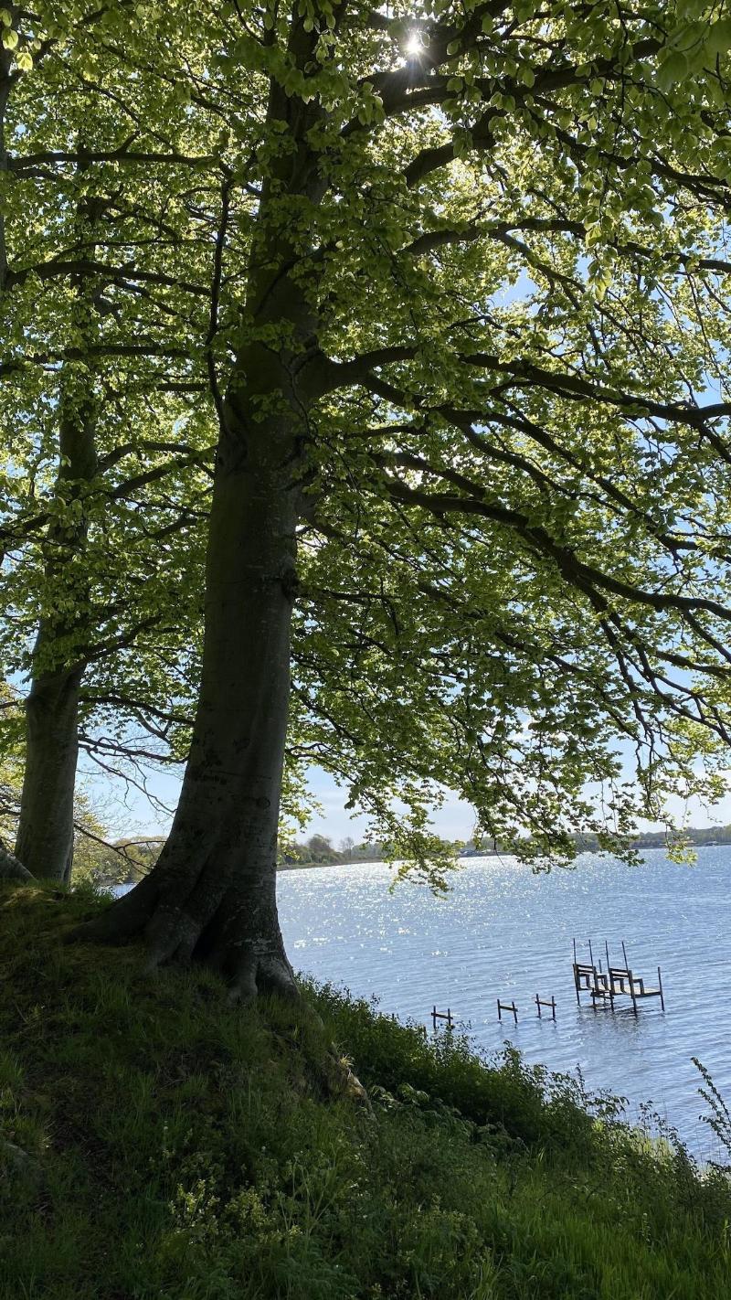 Huset I Hejls image