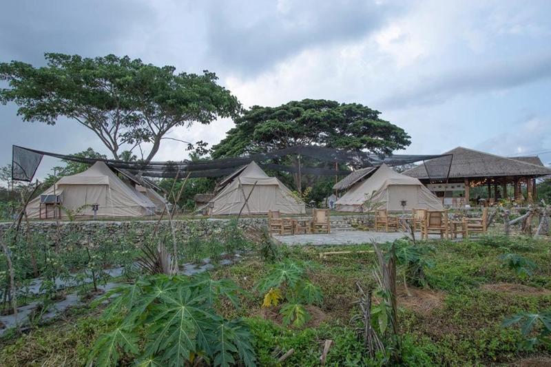 The Acacia Glamping Park image