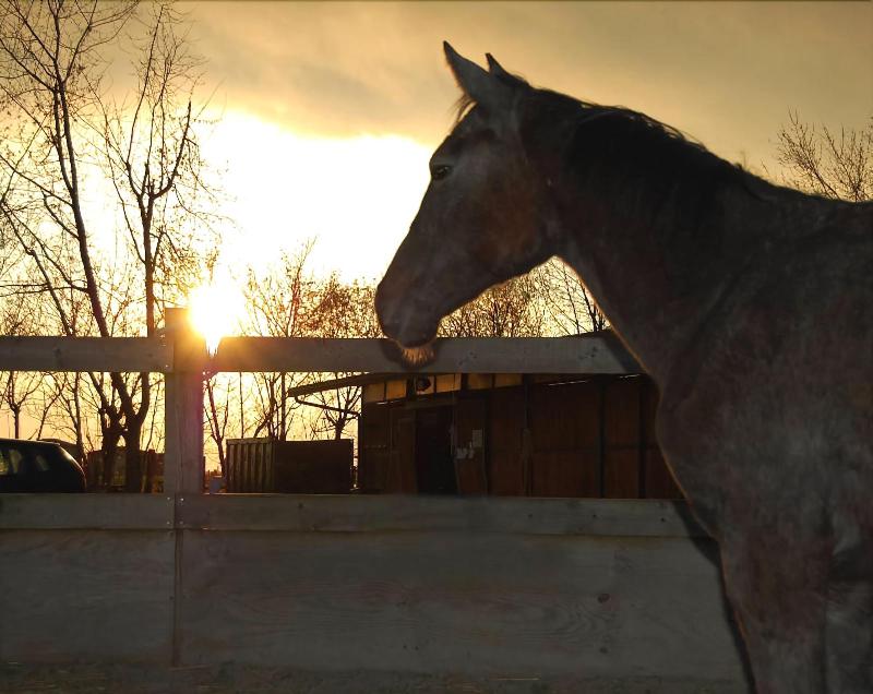 Mulino Delle Valli image
