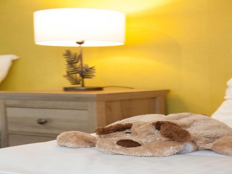 B&B Coeur de Village Alsace image