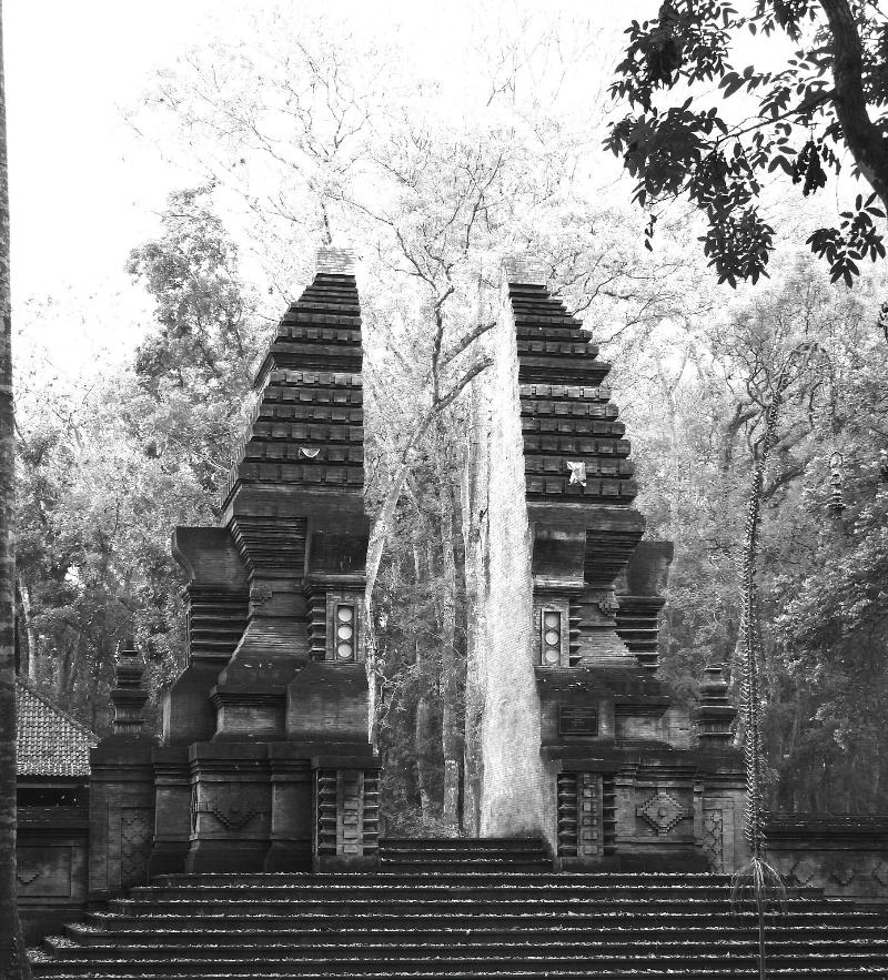 Jawa Jiwa G-land image 7