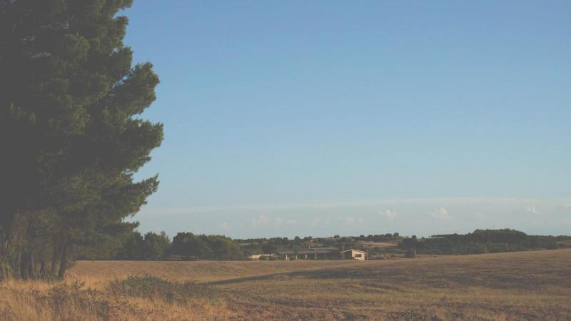 Masseria Chinunno image