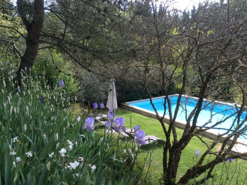Le Clos Pastel image