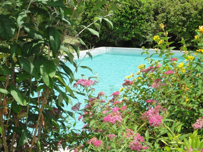 Le Clos Pastel image