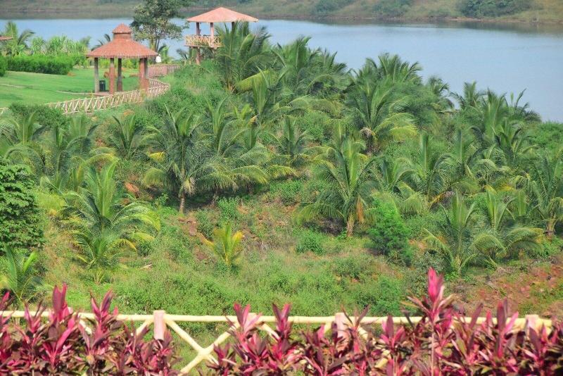 Fazlani Natures Nest Wellness Resort image