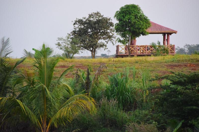 Fazlani Natures Nest Wellness Resort image
