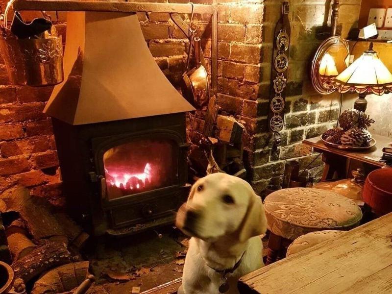 The Oak Inn Staplow image