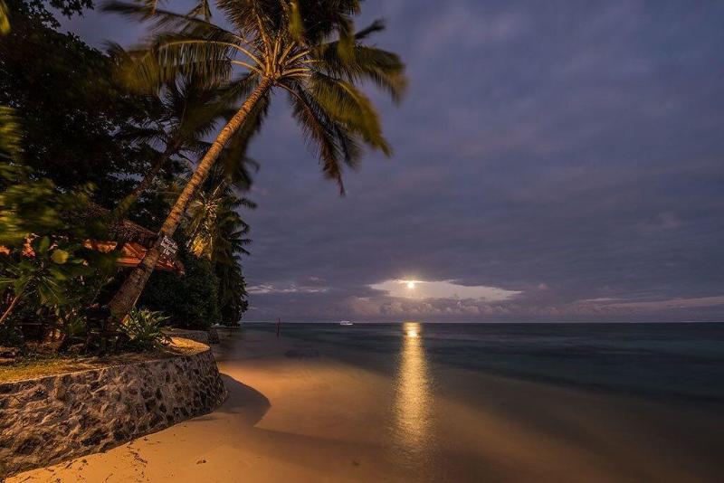 Patrick's on the Beach image