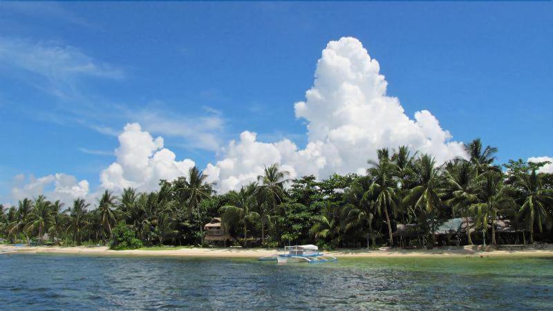 Patrick's on the Beach image