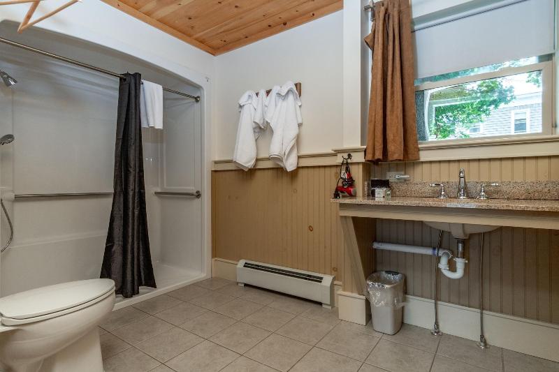 The Alpine Lodge image