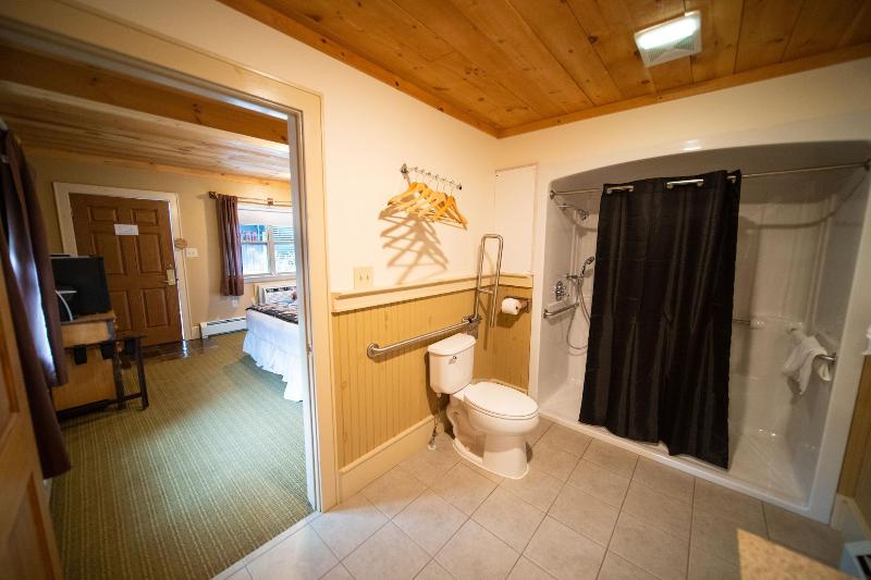 The Alpine Lodge image