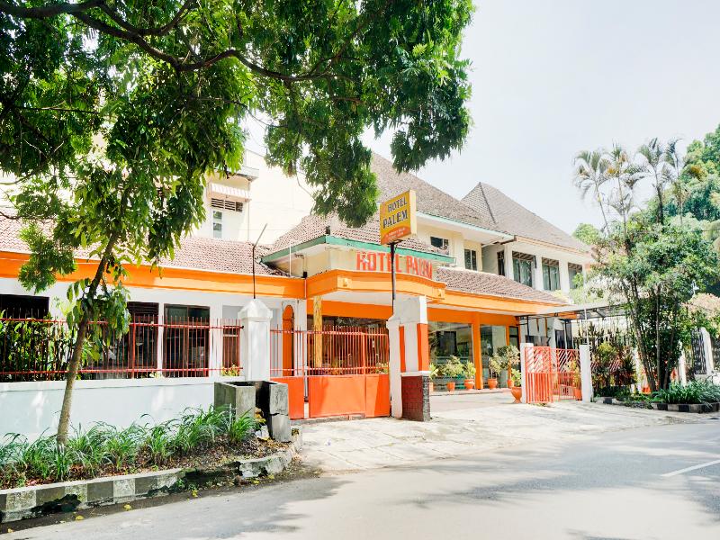 OYO 3956 Hotel Palem 2