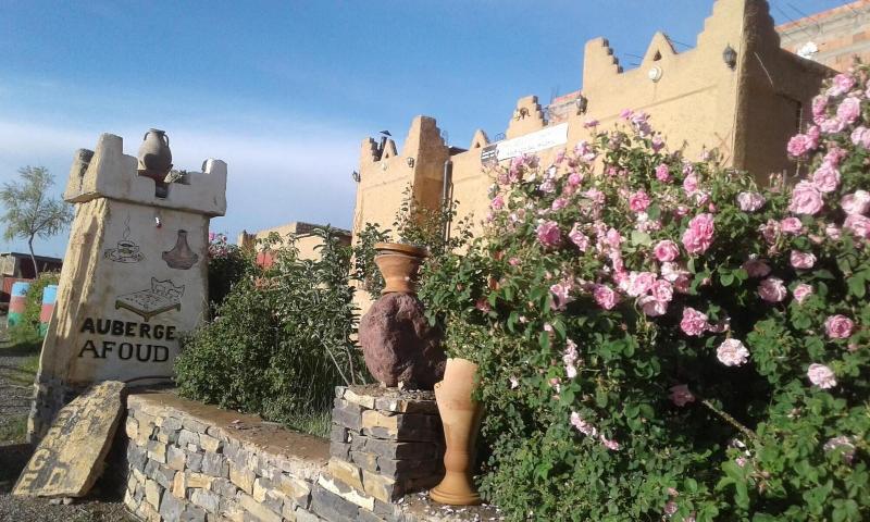 Auberge Afoud
