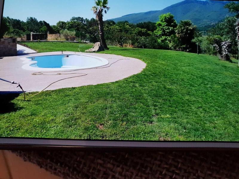 La Bella Vista image