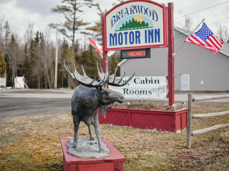 Briarwood Motor Inn — general view