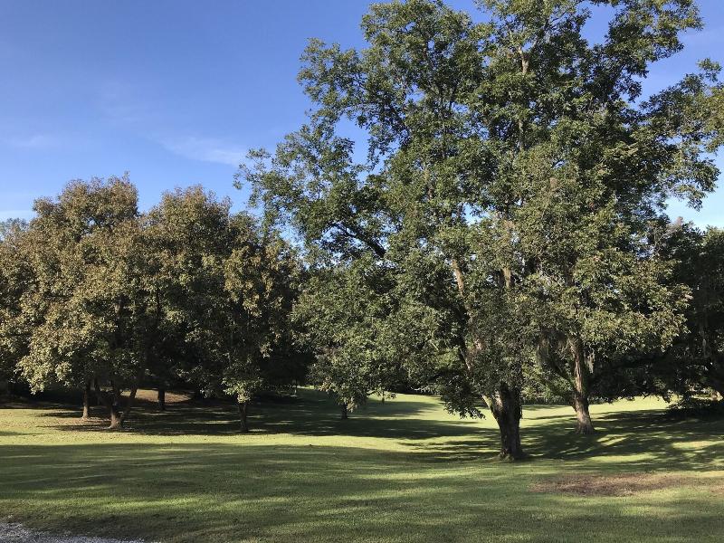 Canemount Plantation Inn image