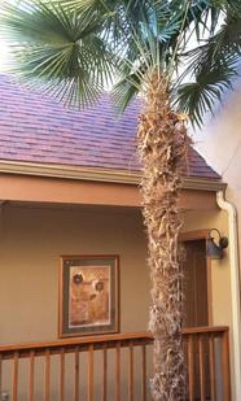 Beaver Creek Inn image 2