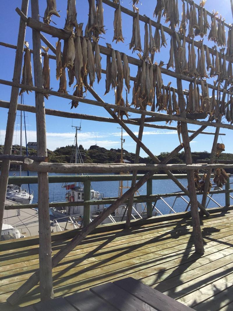 Live Lofoten Hotel image