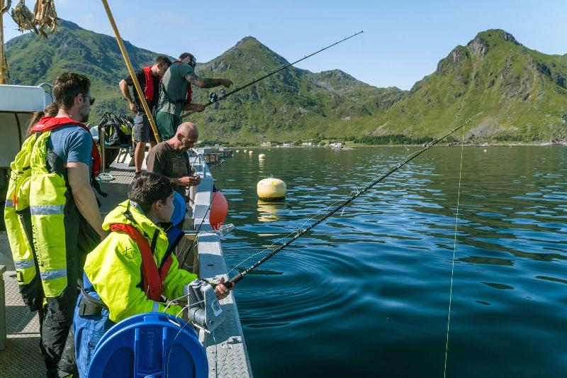 Live Lofoten Hotel image