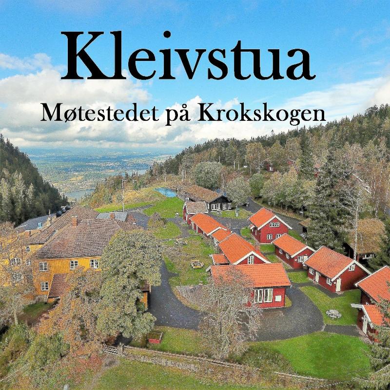 Kleivstua image