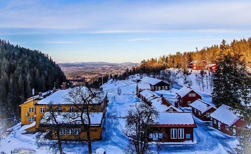 Kleivstua image