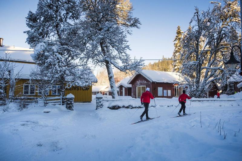 Kleivstua image