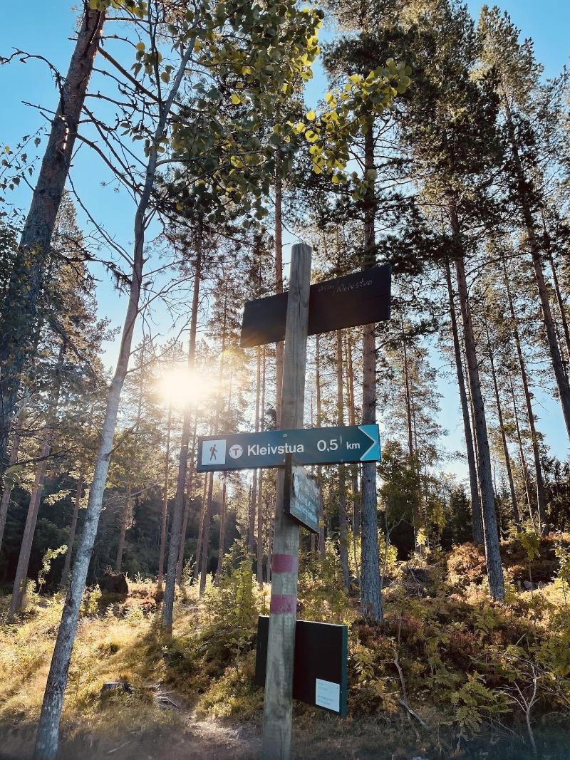 Kleivstua image