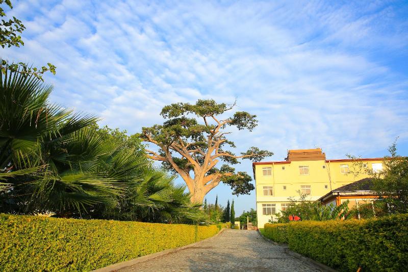 Haile Resort Ziway image
