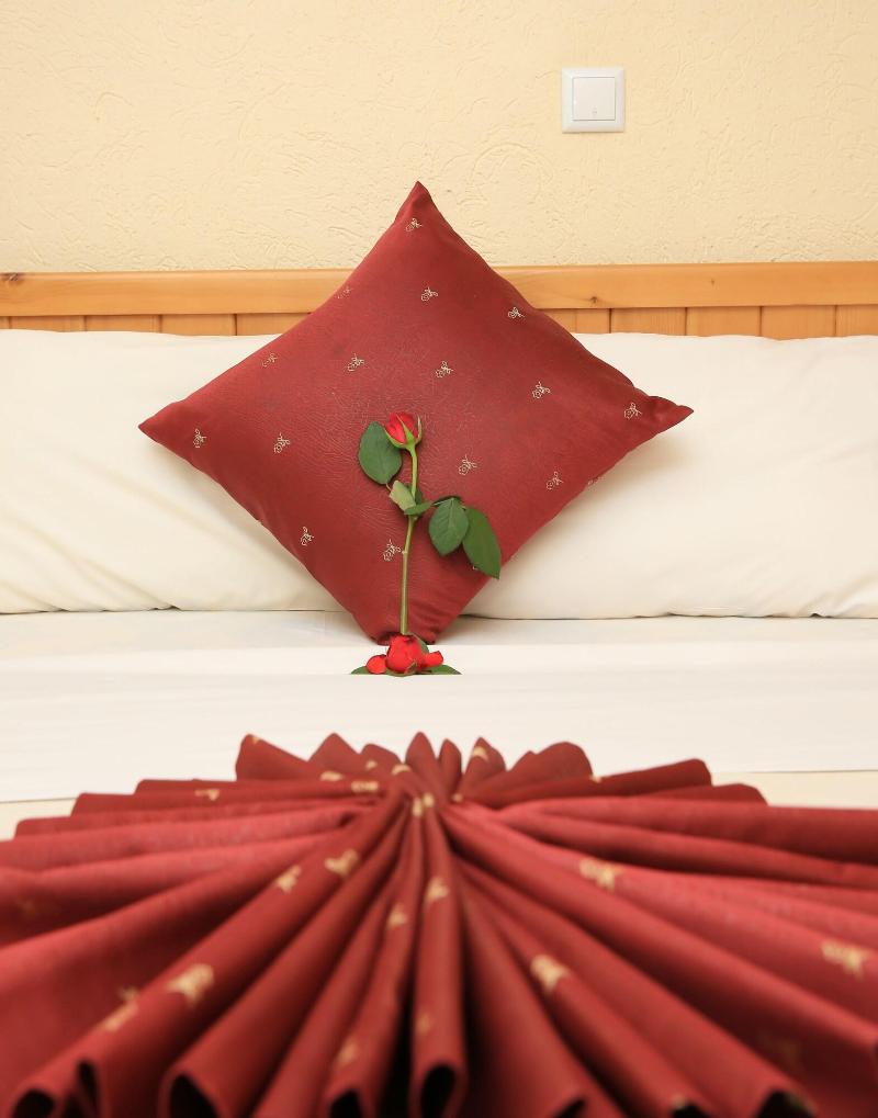 Haile Resort Ziway image