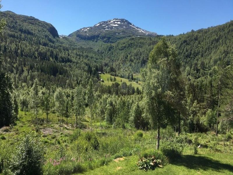 Voss Lodge Rongastovo