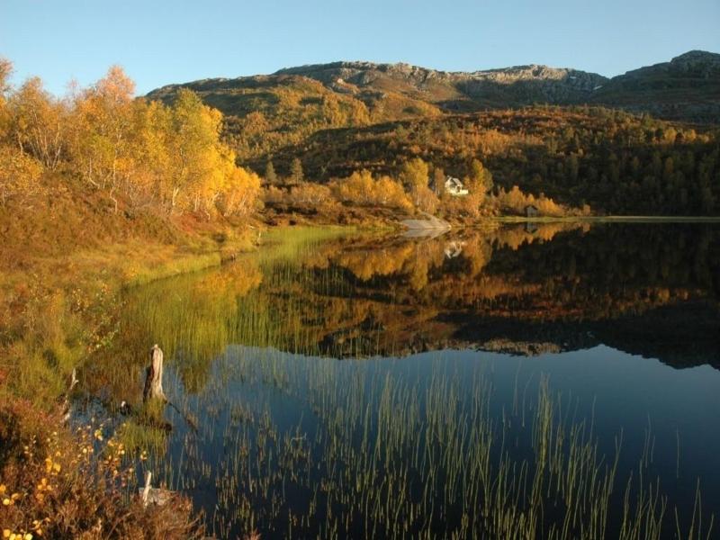 Voss Lodge Rongastovo