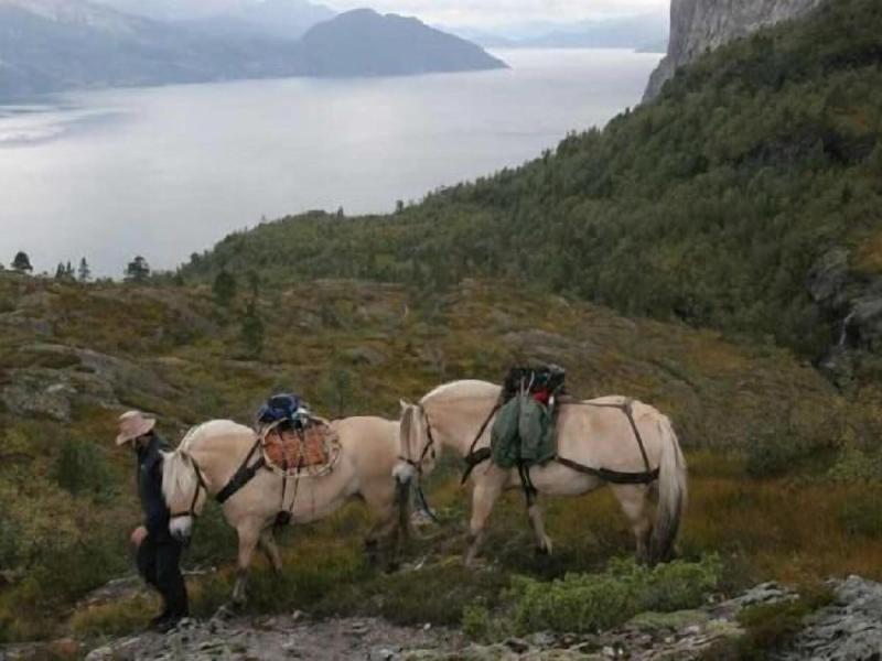 Voss Lodge Rongastovo