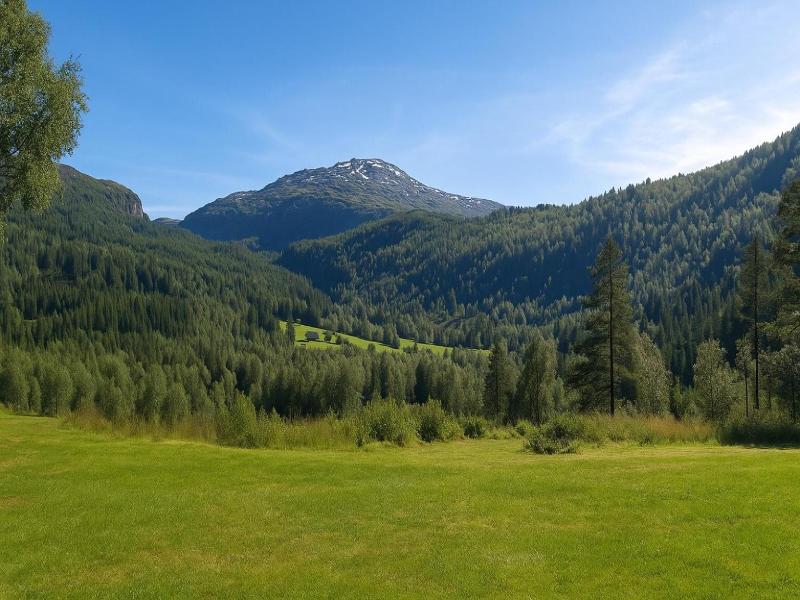 Voss Lodge Rongastovo image