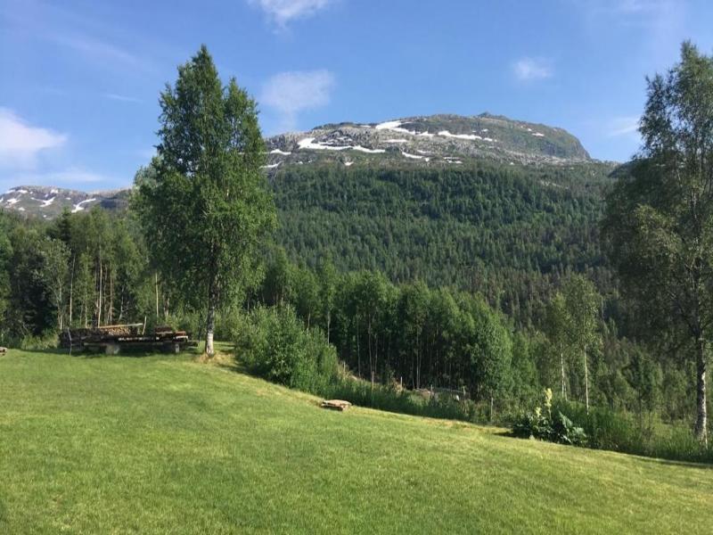 Voss Lodge Rongastovo image