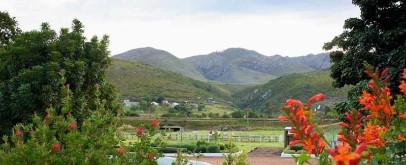 Assegaaibosch Country Lodge — general view