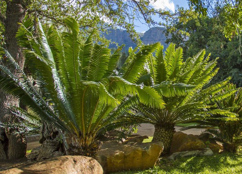 Littlebush Private Lodge image