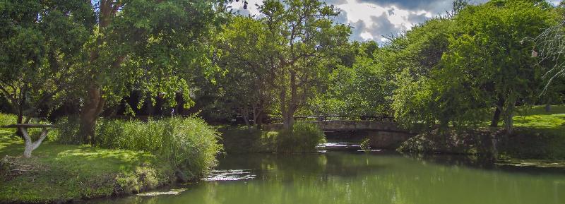Littlebush Private Lodge image