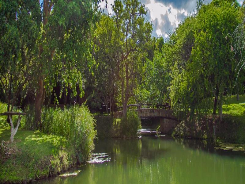 Littlebush Private Lodge image