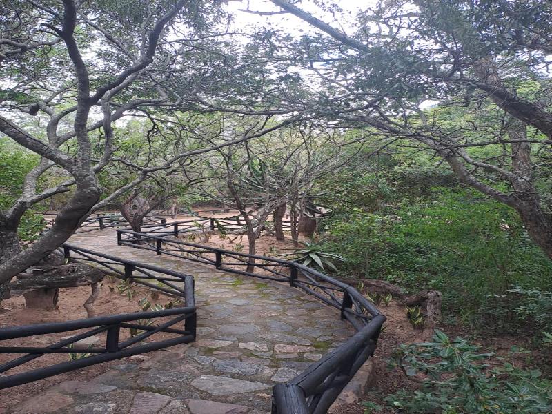 Littlebush Private Lodge image