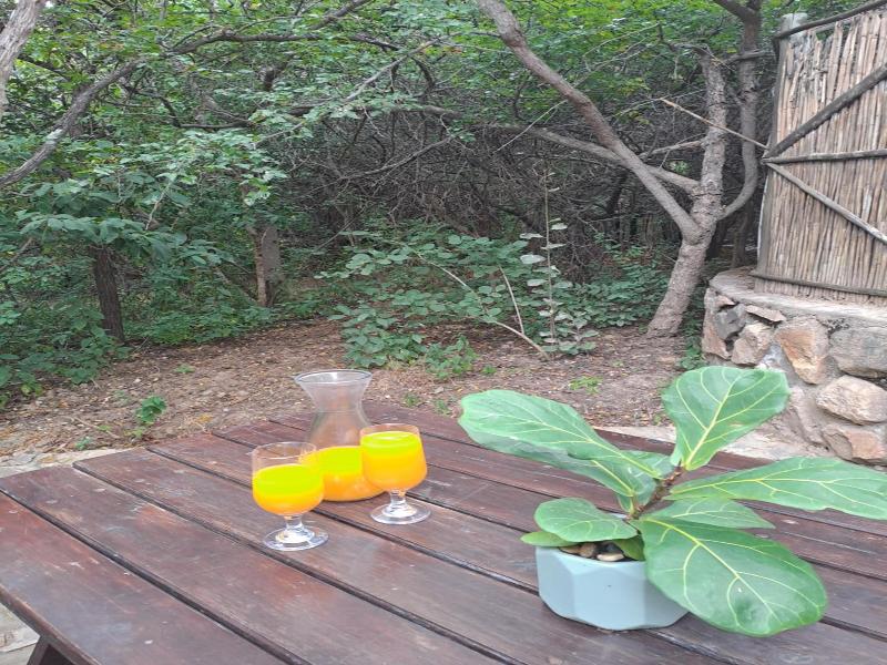 Littlebush Private Lodge — general view