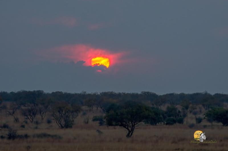 Ikhaya Lamadube Game Lodge image