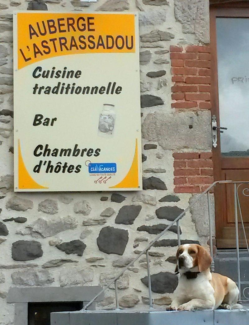 L'Astrassadou image