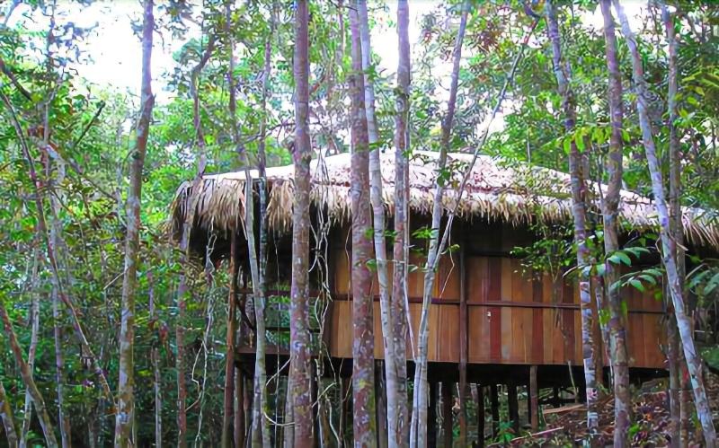 Amazon Tupana Jungle Lodge