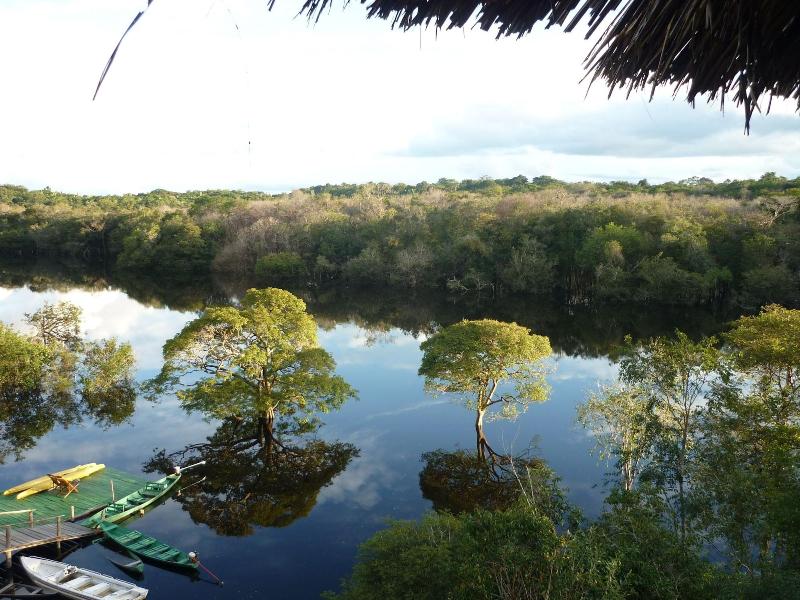 Amazon Tupana Jungle Lodge