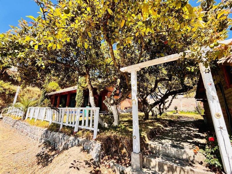 Casa 929 image