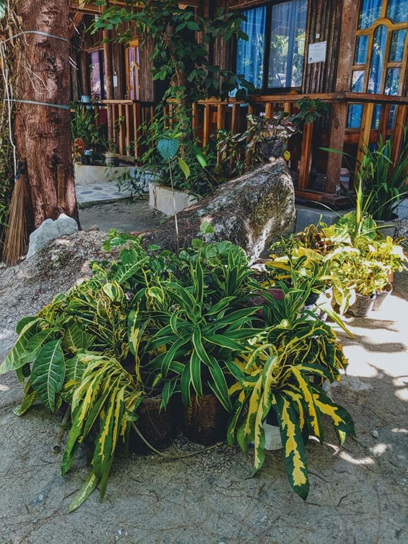 Jing's Place Homestay siargao image